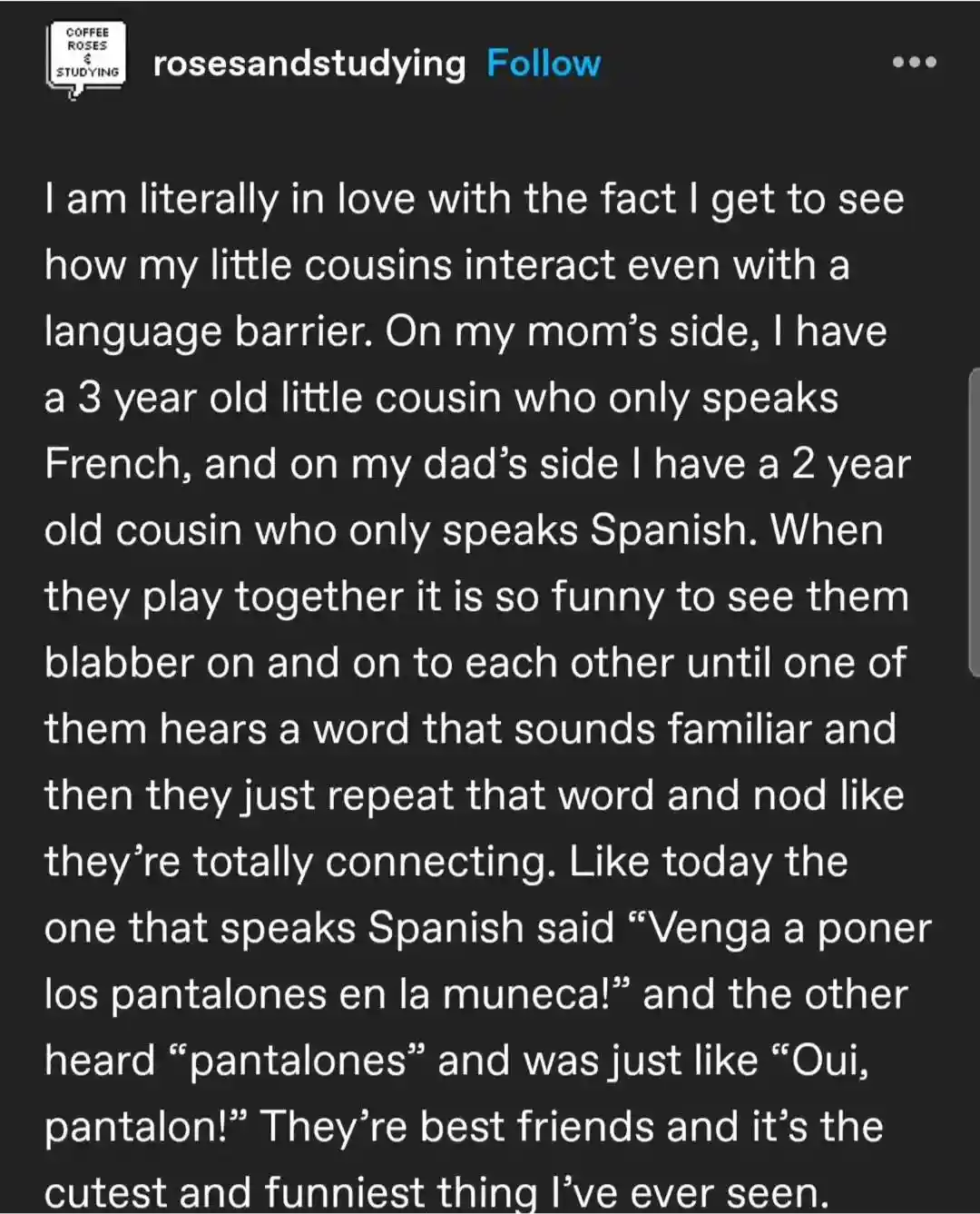 Toddler Talk: Navigating the Language Barrier