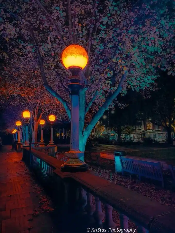 Enchanting Night Lights that Illuminate the Darkness