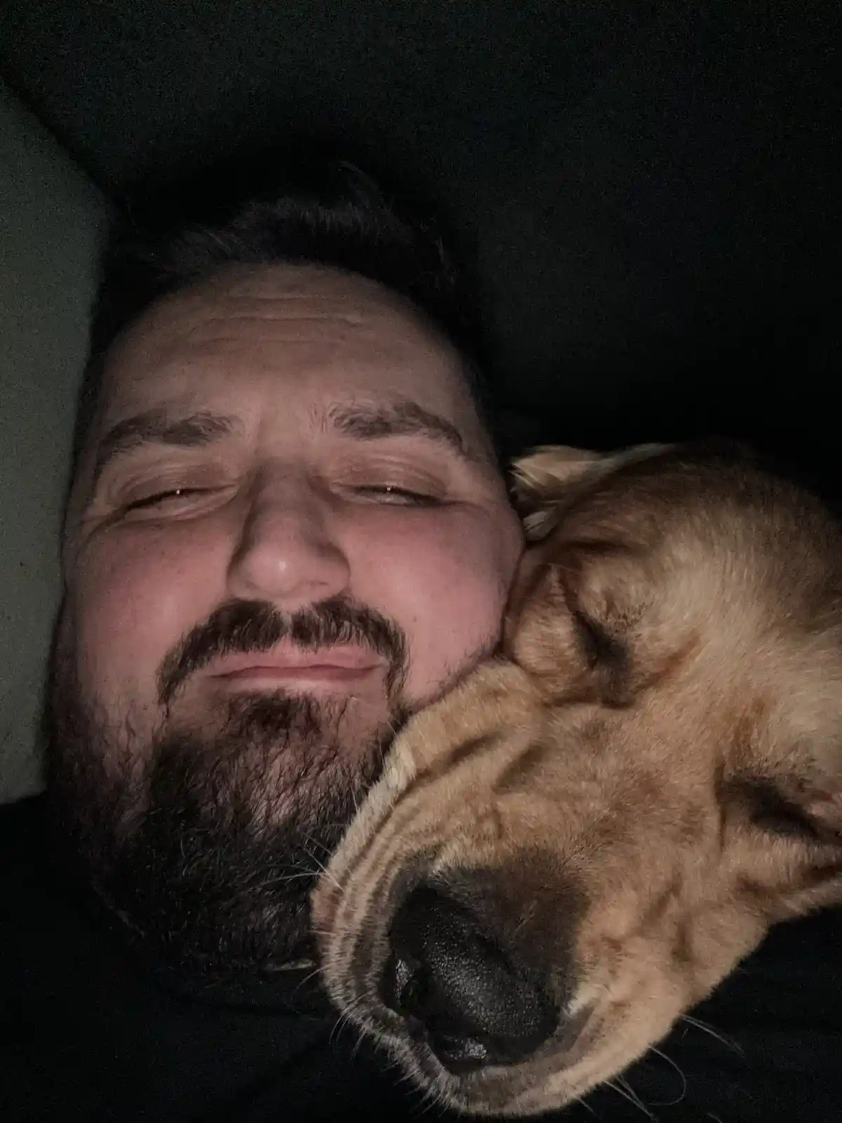 A man with a beard and mustache is lying down with his eyes closed, smiling slightly, while a golden retriever sleeps…
