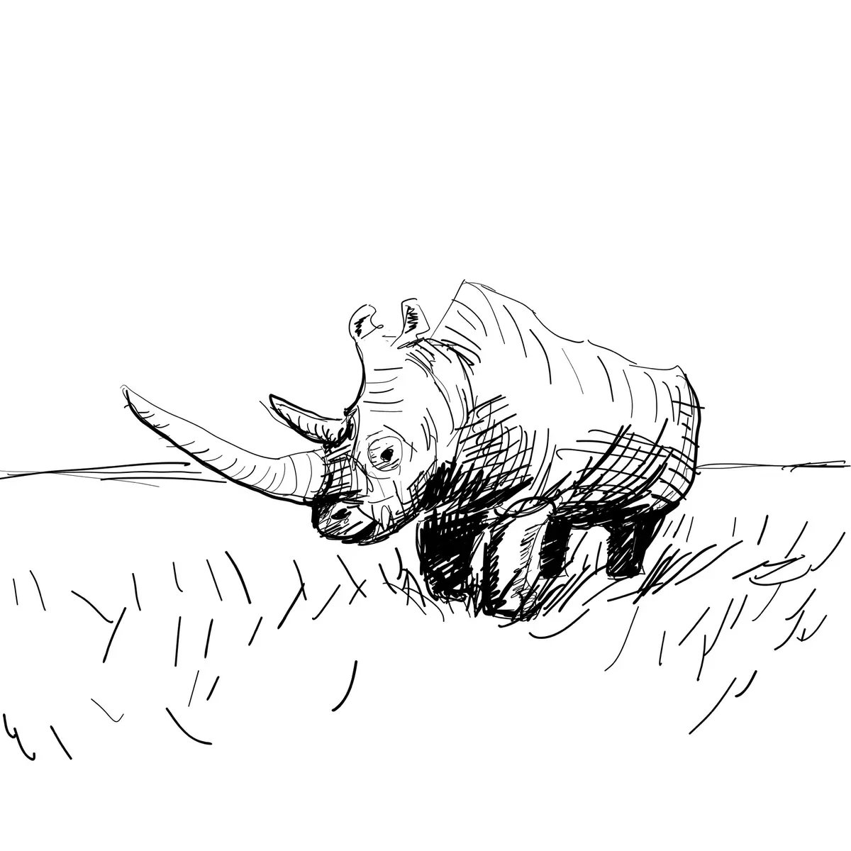 Majestic Rhinoceros in its Element