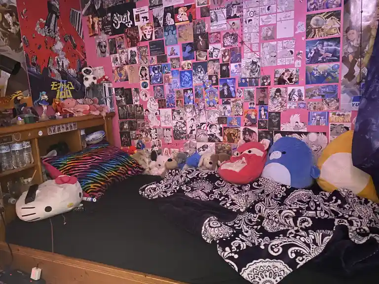A bedroom with a bed covered in plushies and blankets, walls covered in anime and manga posters and art, and a shelf with…