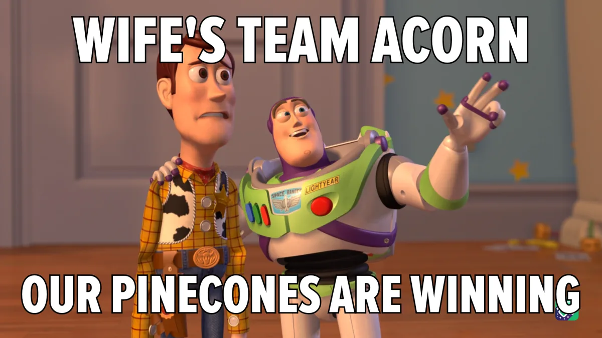 Pinecone Power: Our Team is Unstoppable!