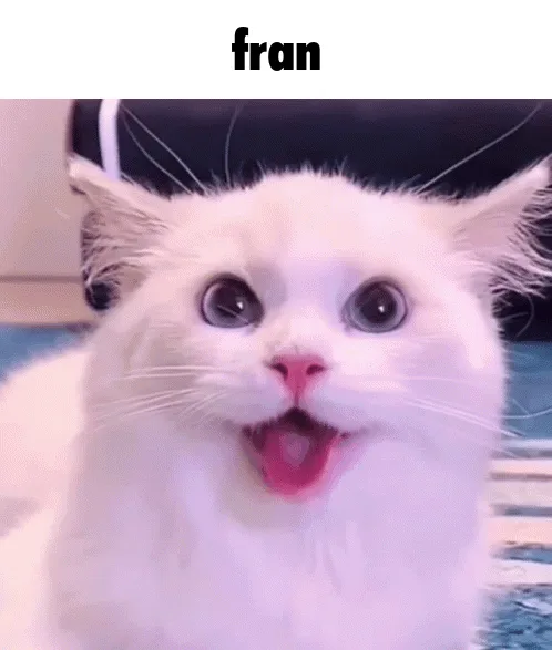 A grid of six identical photos of a fluffy white cat with wide, round eyes and an open mouth showing its tongue, looking…