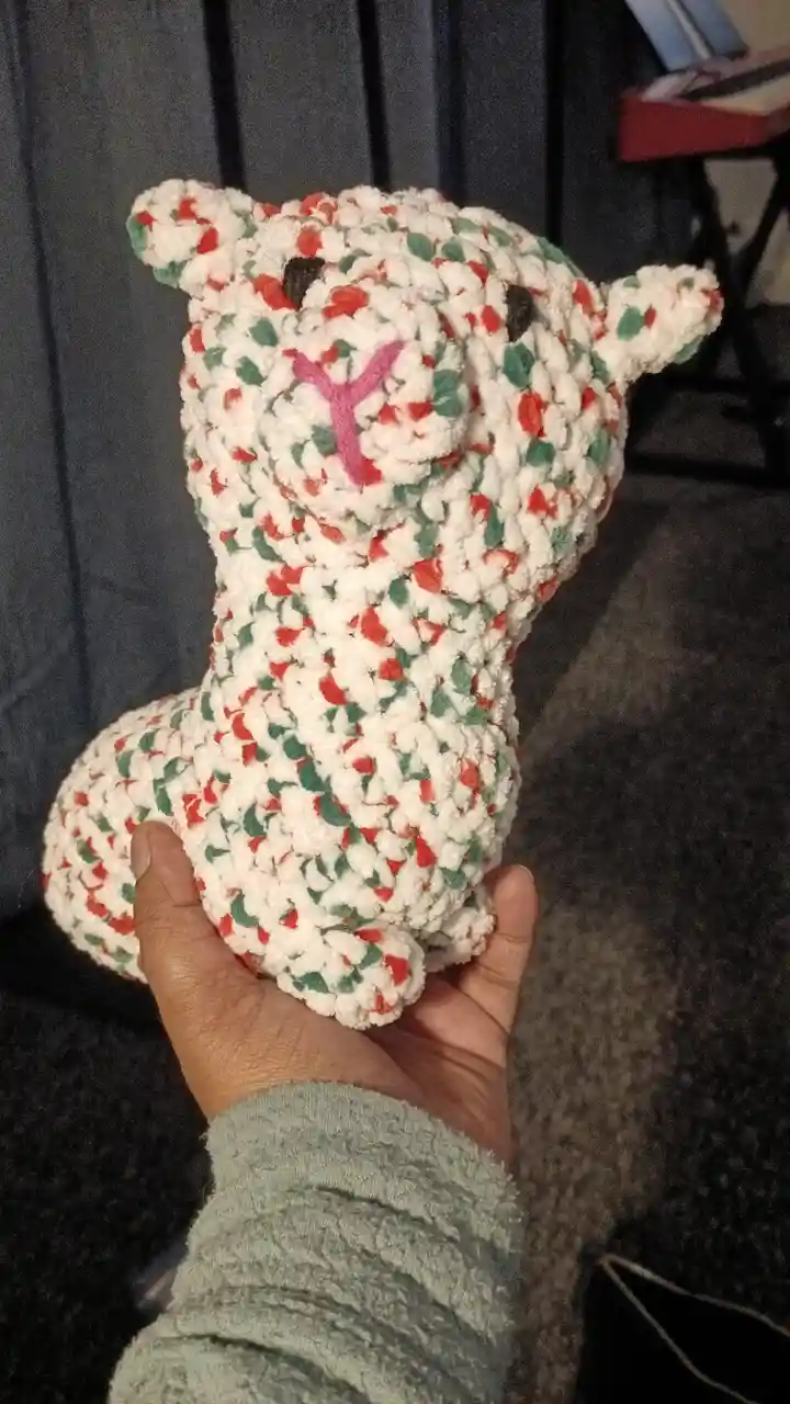 Embracing My Passion for Crochet