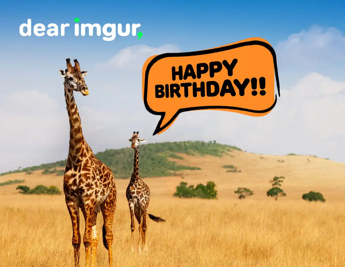 Two giraffes stand in a savanna with golden grass and distant hills under a blue sky. An orange speech bubble next to the…