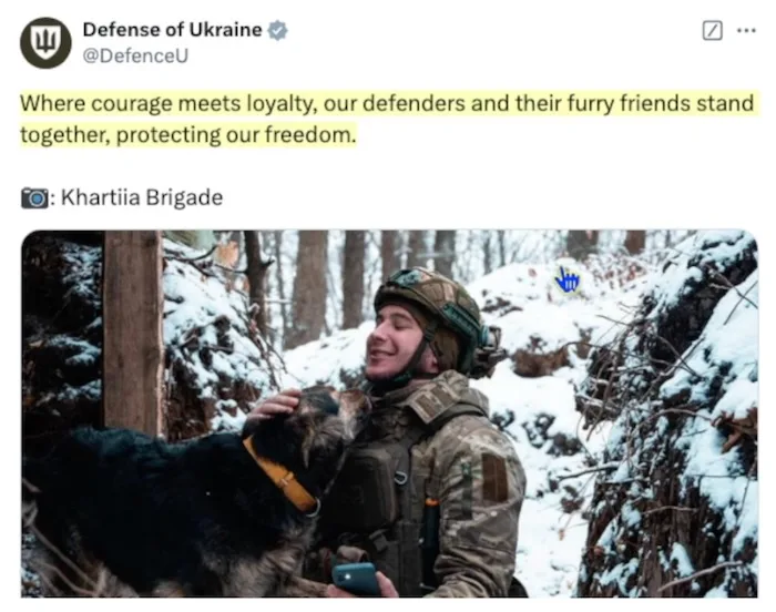 A soldier in full military gear, including a helmet and camouflage uniform, is smiling warmly while petting a black and tan…