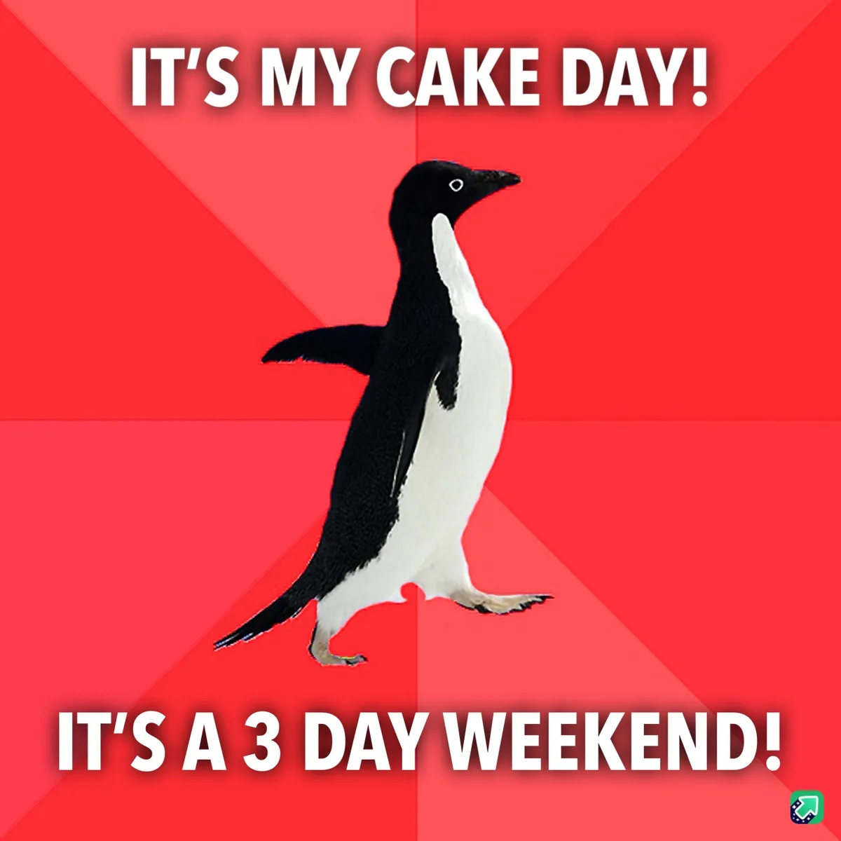 Cake Day Coincides with a Long Weekend - What a Treat!