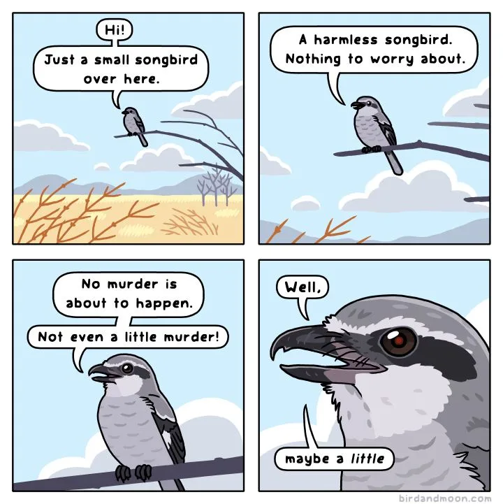 A four-panel comic strip featuring two birds. The first panel shows a small bird introducing itself. The second panel shows…
