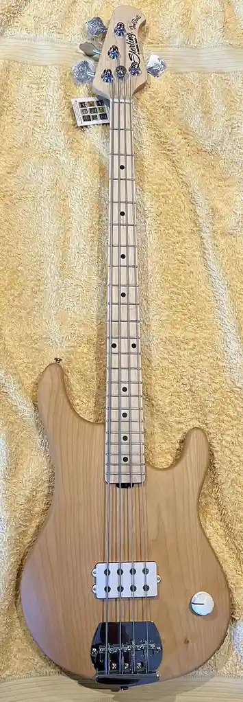 The Deep Vibes of Bass