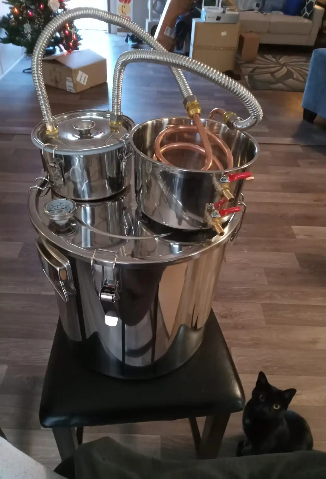 A large, shiny stainless steel home distillation apparatus sits on a black stool in a living room, with a small black cat…