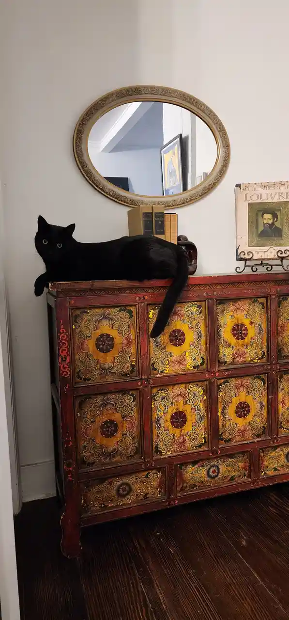 A black cat lounges atop an ornate, colorful wooden cabinet with intricate floral and geometric patterns. Above the cabinet…
