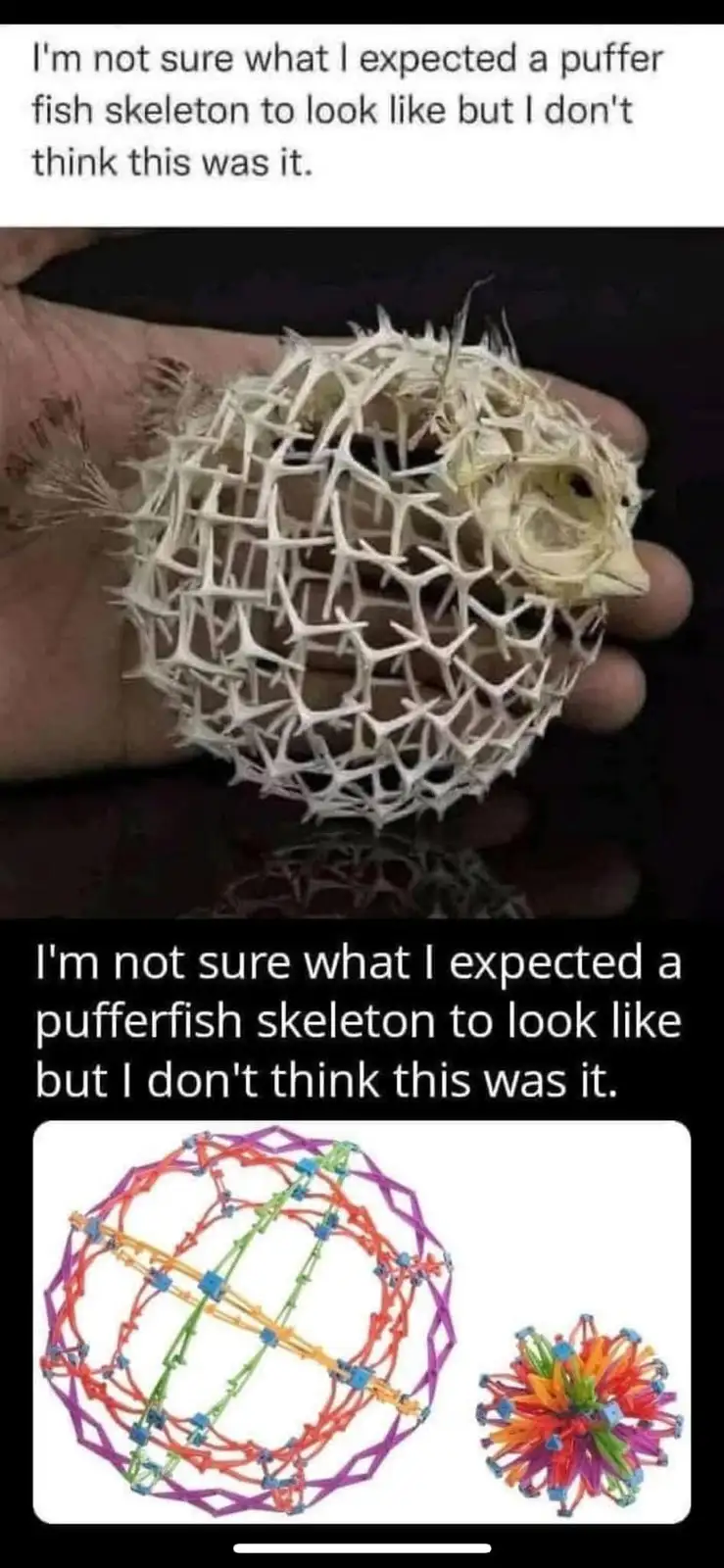 Just Throw It and See What Happens!
