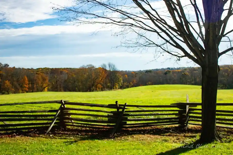 A serene autumn landscape featuring a wooden split-rail fence in the foreground, a large bare tree on the right, and a…