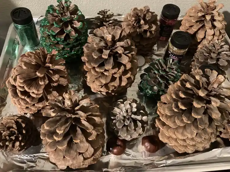 Cheering for the Pinecones: Let's Go Team!