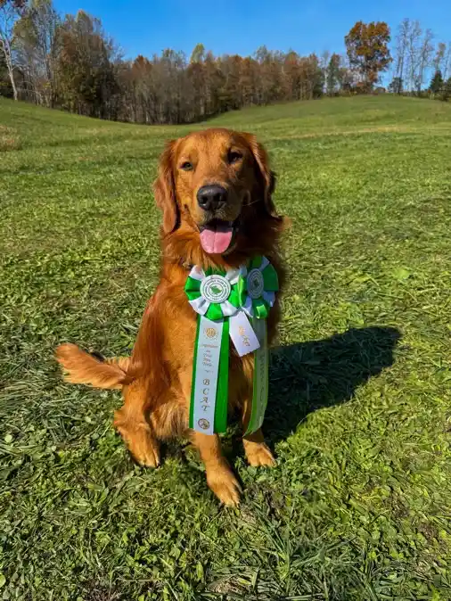Introducing Rucker: The Newest Star!