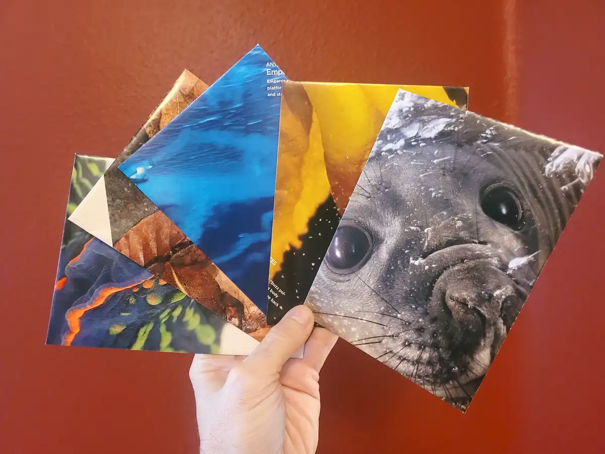 A hand holds a fan of five colorful book covers against a red wall. The visible covers show diverse imagery: a seal's face…