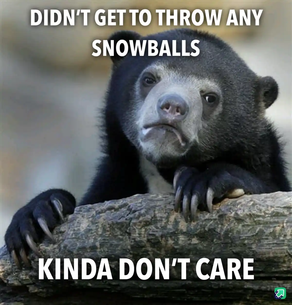 I Had No Idea About the Snowball Situation...