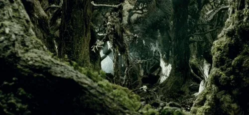 Calling for Ent Support for Team Pine Cone: Round Two!