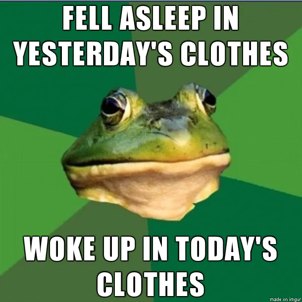 Bachelor Frog Meme Collection