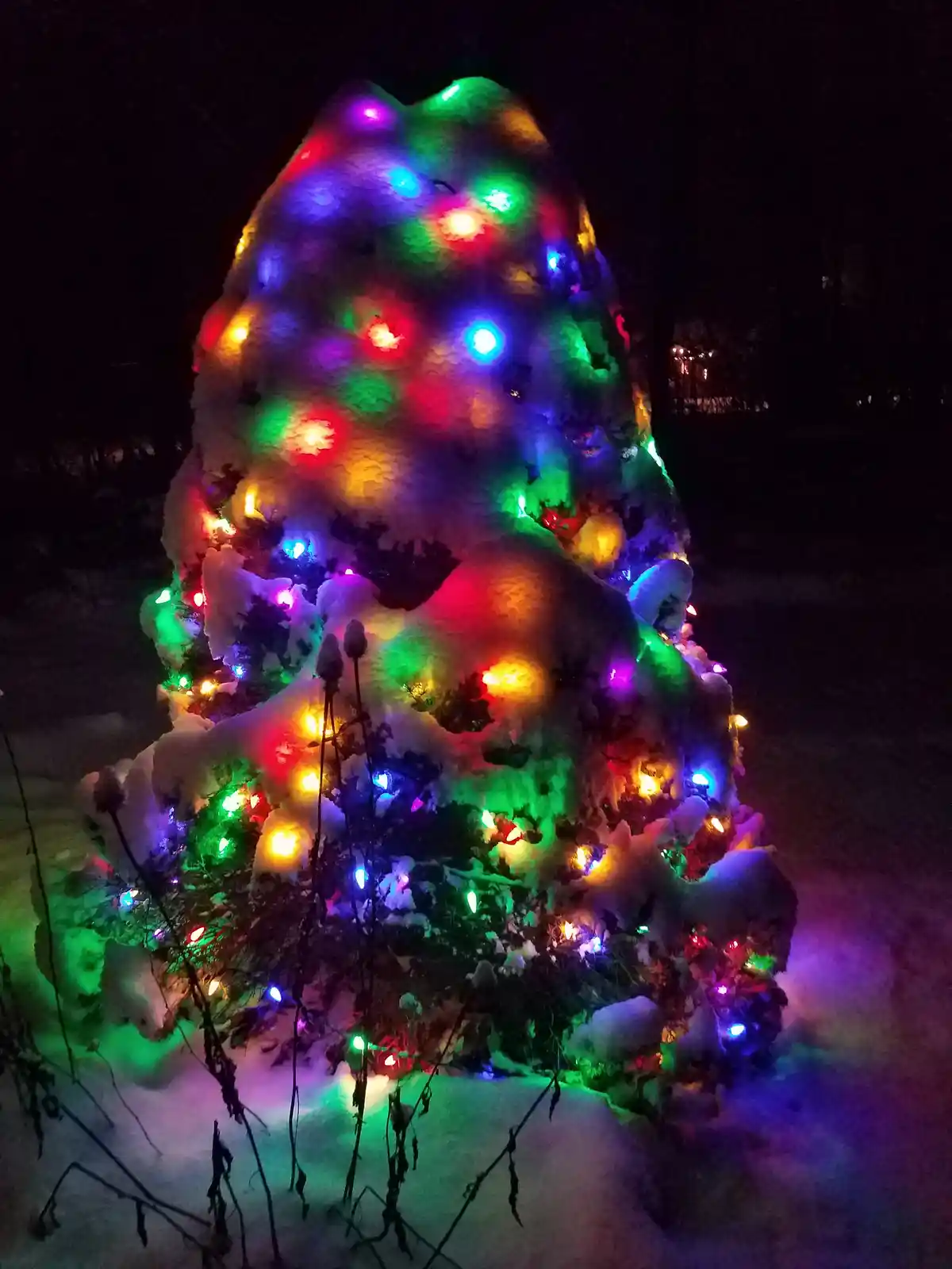 A snow-covered tree at night is decorated with multicolored Christmas lights, creating a festive but oddly shaped…