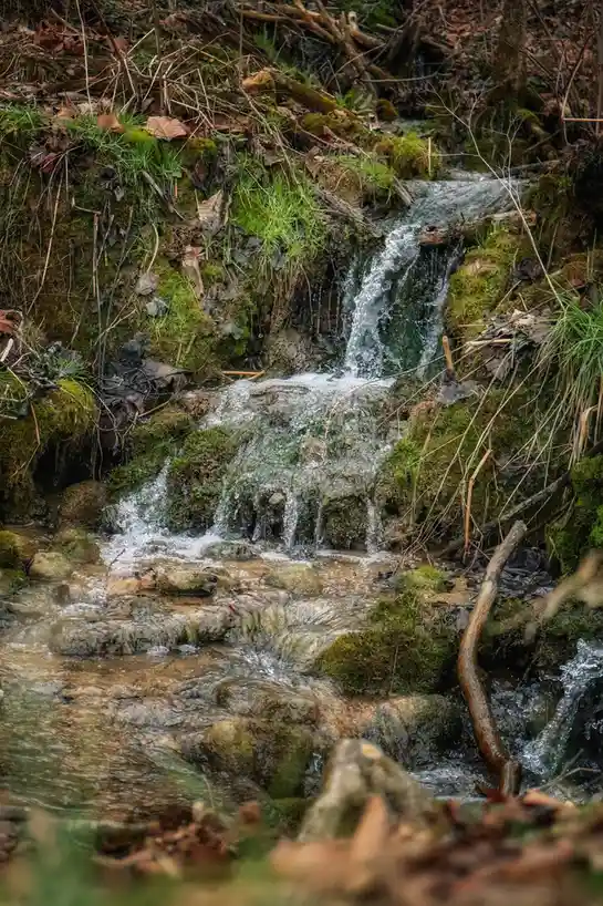A small, clear stream cascades over mossy rocks and fallen leaves in a forest, with water flowing down multiple tiers. The…