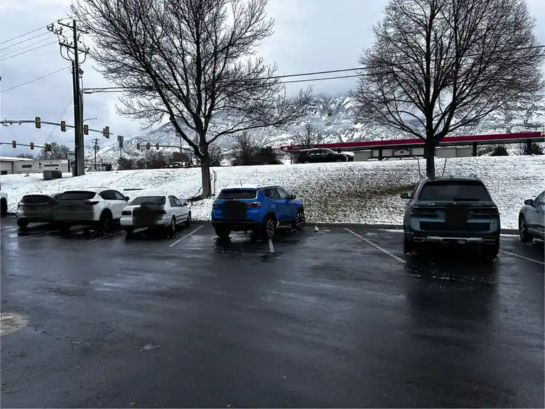 A classic winter wonderland moment