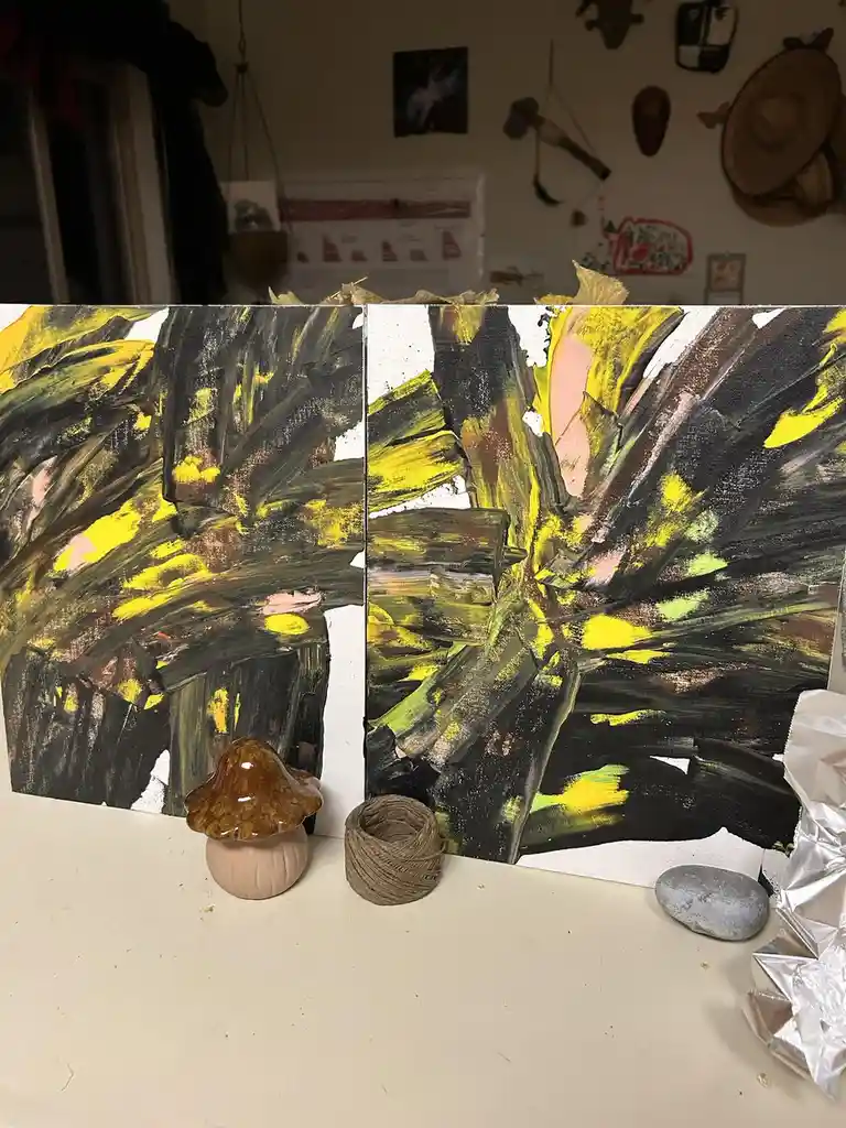 Art and Randomness: Just Some Paintings and More