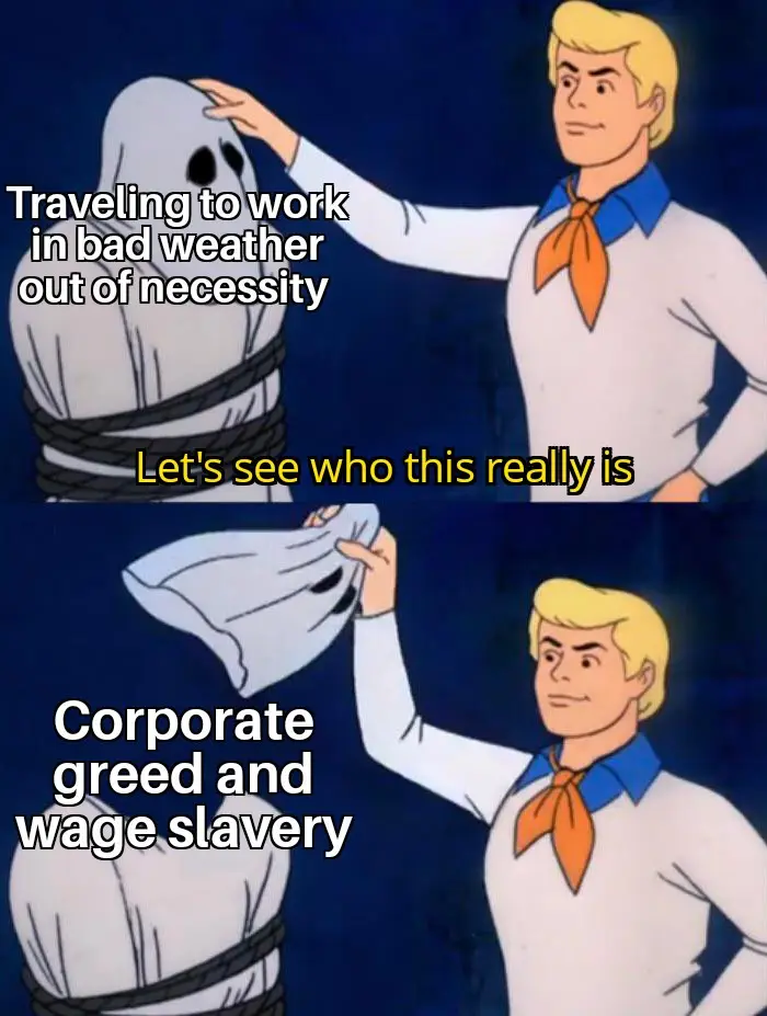 The image is a two-panel meme featuring the animated character Fred Jones from Scooby-Doo. In the top panel, Fred is…