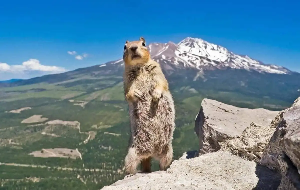 Strike a Pose and Own the Moment