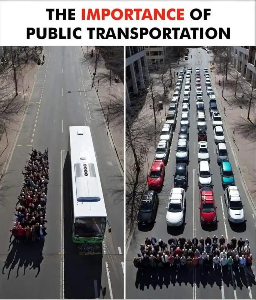 The epic showdown: Buses vs. Cars
