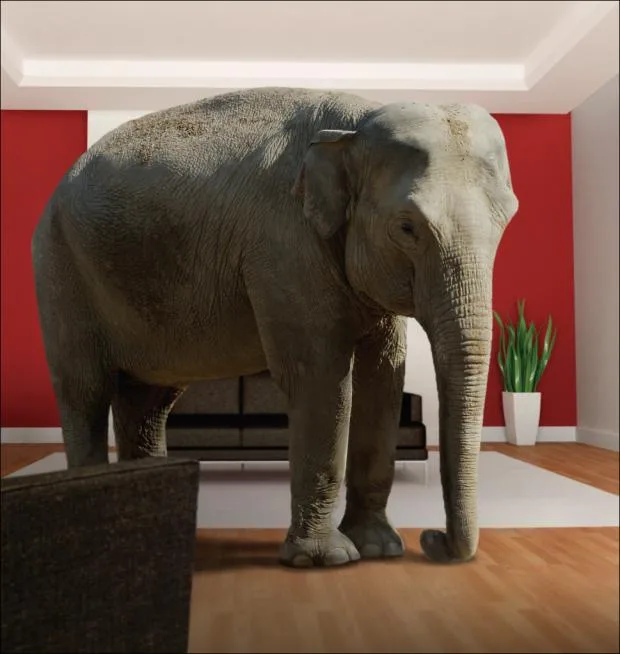 A large, realistic-looking elephant stands inside a modern living room with red walls, wooden floors, and furniture…