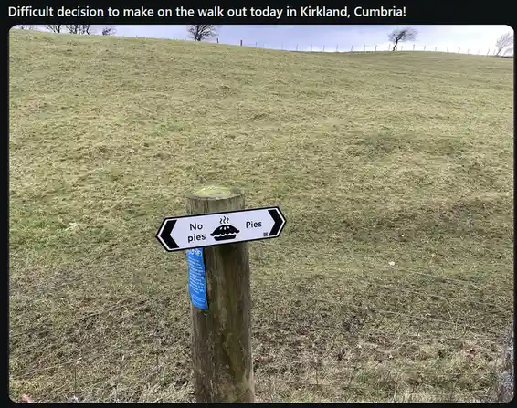 A black-and-white directional sign on a wooden post in a grassy field points left to 'No pies' and right to 'Pies'…