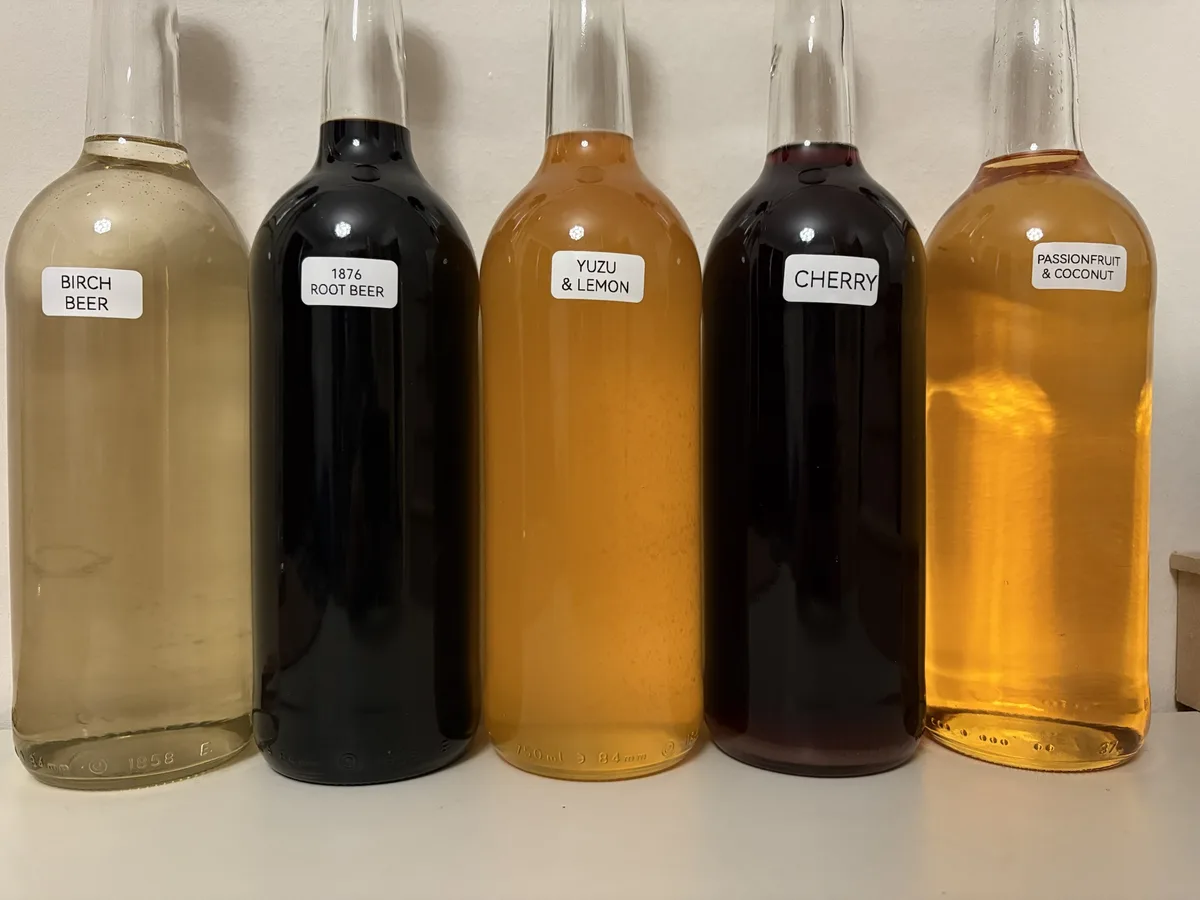 Five large glass bottles of homemade beverages sit in a row, each with a white label identifying its flavor: Birch Beer…