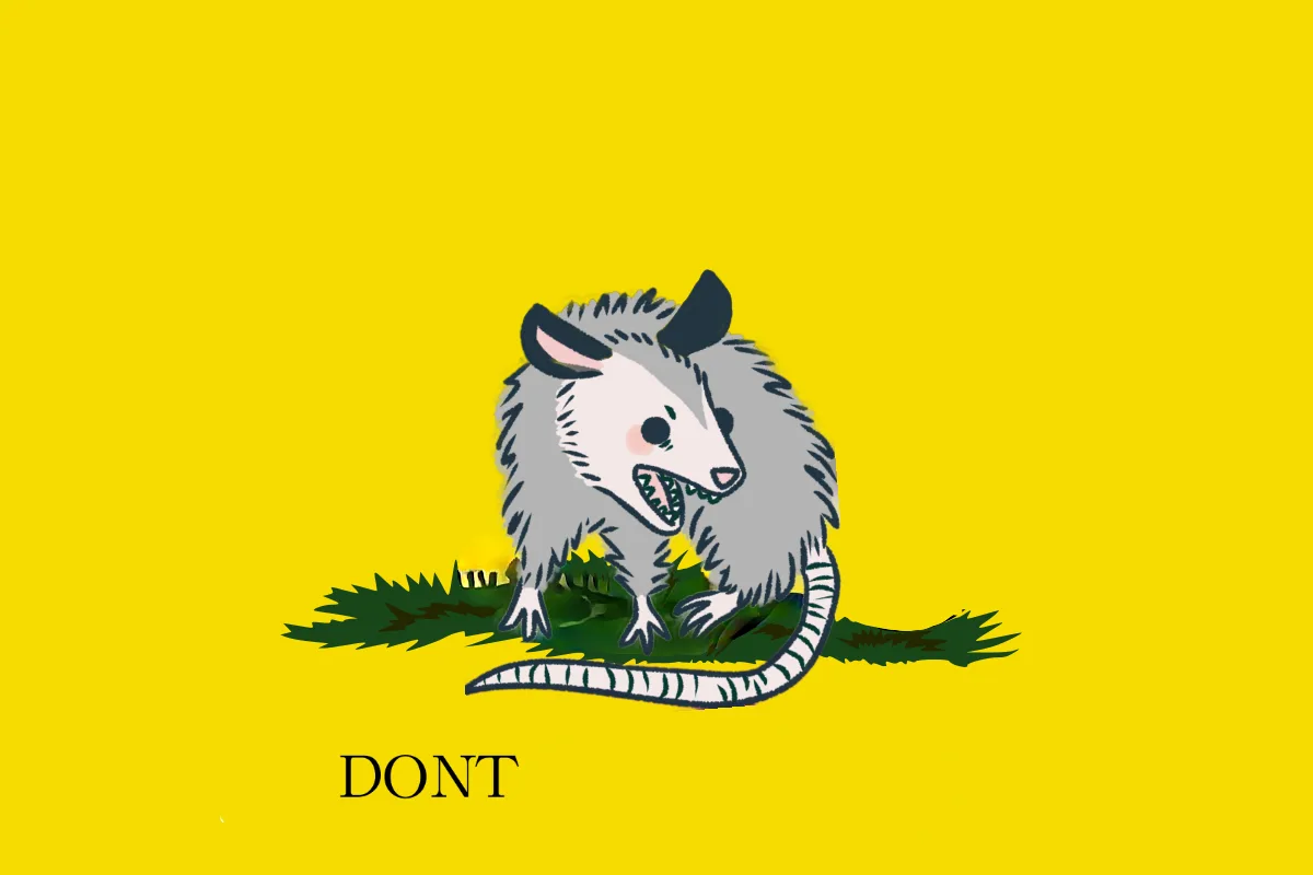 A cartoon illustration of an angry-looking opossum with bared teeth and a striped tail, standing on green grass against a…