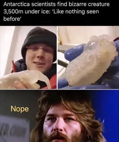 The image is a three-panel meme. Top left shows a smiling man in a beanie holding a translucent, gelatinous creature. Top…