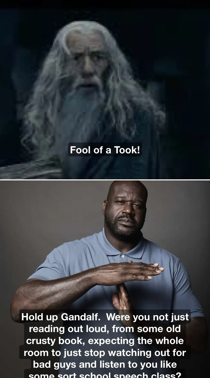 The image is a two-panel meme. The top panel shows a blurry, ghostly image of Gandalf the Grey from Lord of the Rings with…