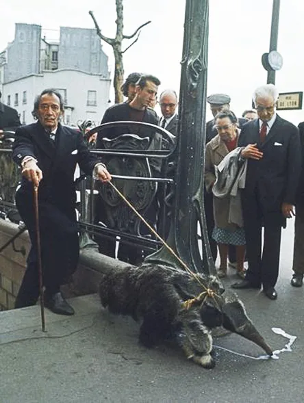 a man in a dark suit and holding a cane stands beside a large badger lying on the pavement, tethered by a rope he holds. A…