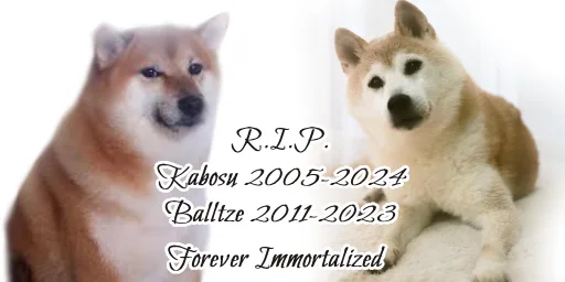 Rest in Peace