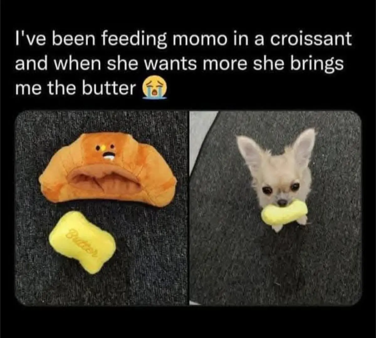 The image is split into two panels. The left panel shows a plush croissant toy with a face and a yellow bone-shaped toy…