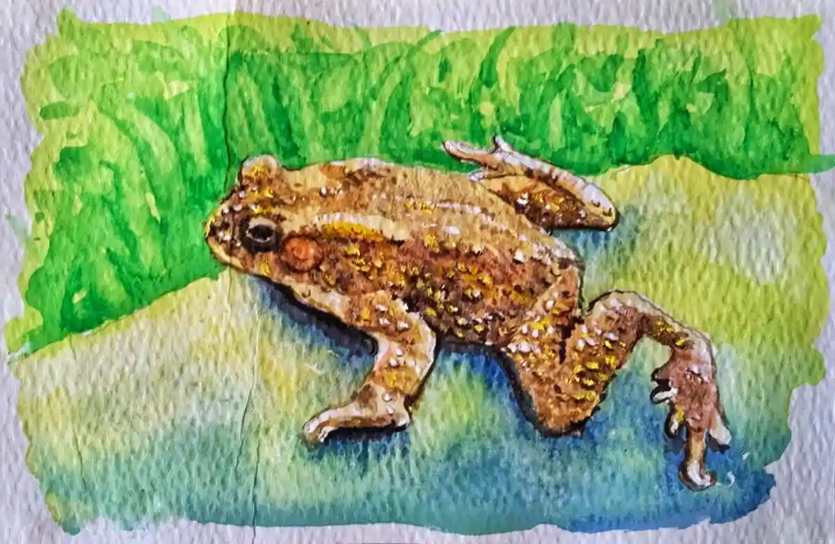 Meet Jeremiah: My Postcard-Sized Frog and Toad Painting!
