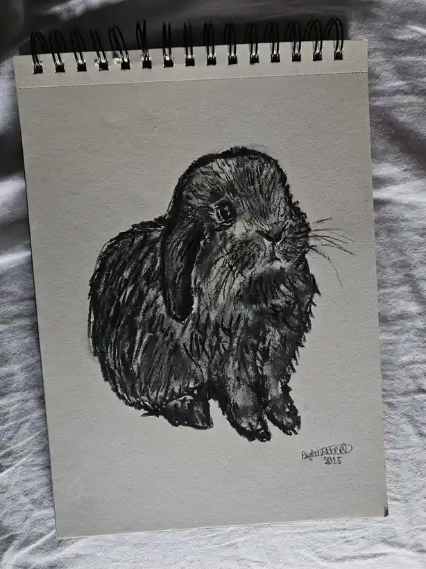 A black-and-white charcoal sketch of a fluffy, long-eared rabbit on a spiral-bound notebook page, signed 'Alyssa Reed 2025'…
