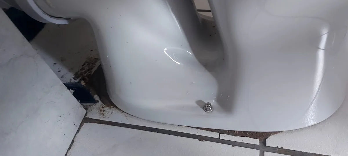 The Ever-Expanding Sewage Spill: A Growing Disaster