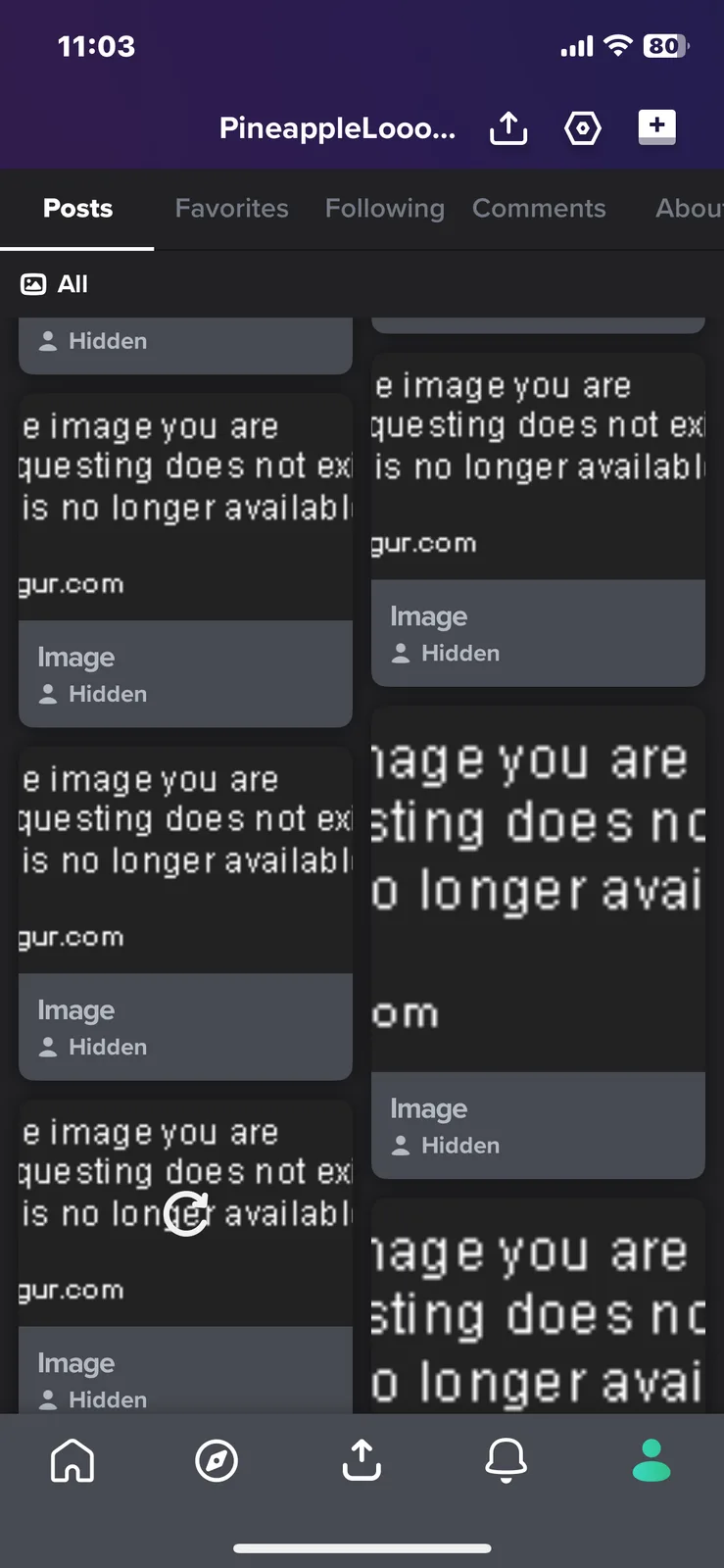 A screenshot of a social media app shows multiple posts displaying the error message 'the image you are questing does not…