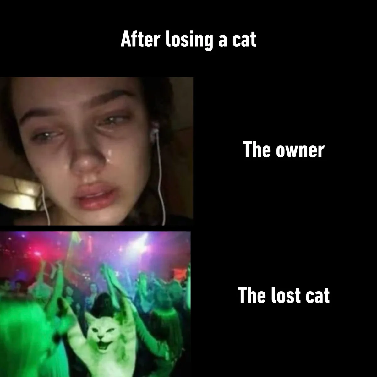 The top panel shows a visibly upset person with tears on their face, labeled 'After losing a cat' and 'The owner'. The…