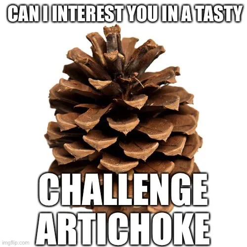 A close-up image of a brown pinecone against a plain white background. Overlaid in large, bold, white text with a black…