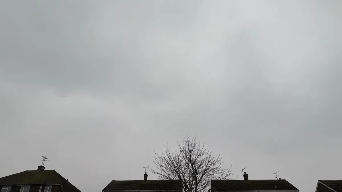 A photo of a grey, overcast sky above suburban rooftops and a bare tree, with the overlaid text 'it's not raining it's just…