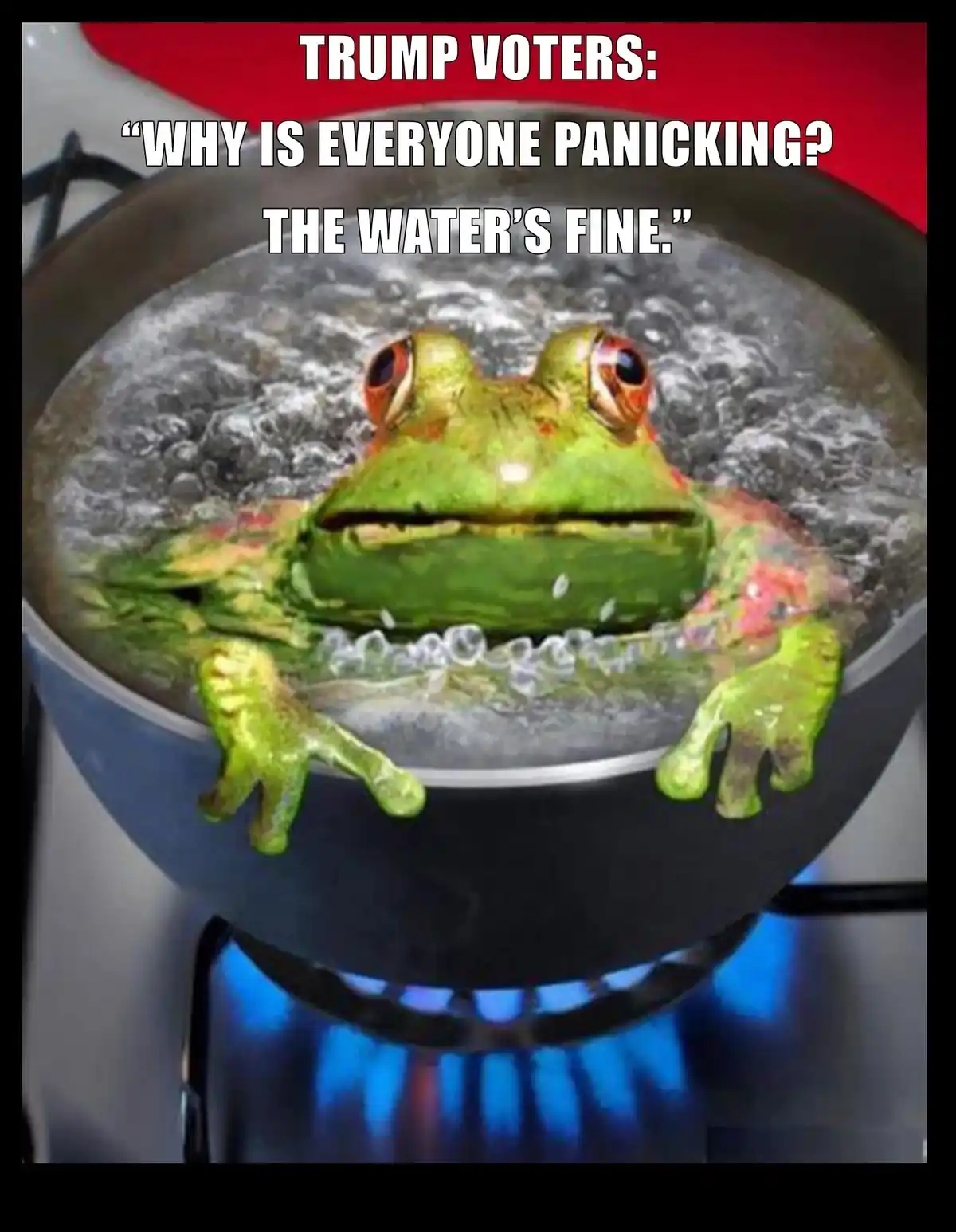A green frog with wide, unblinking eyes is shown submerged in a pot of vigorously boiling water, which is being heated by a…