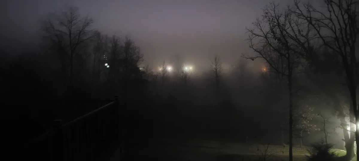 A Mystical View Through the Fun Fog