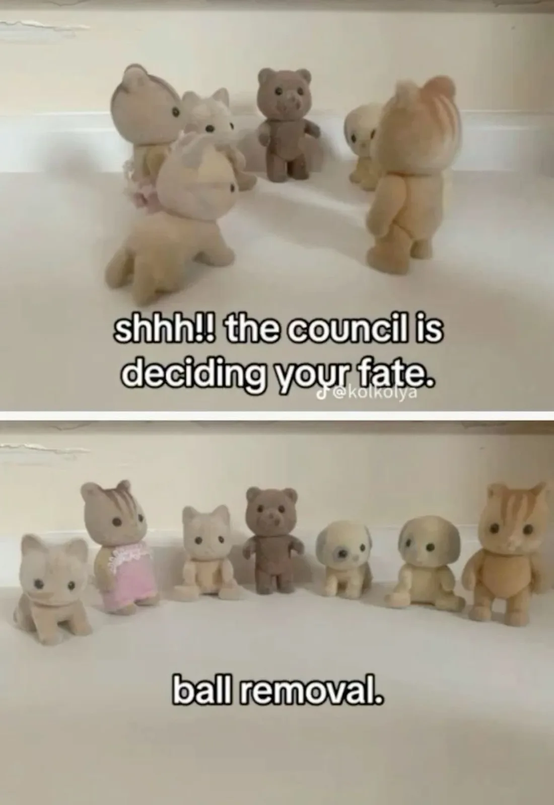 Two panels show small, light-colored plush animal figurines. The top panel shows them huddled together with text saying…