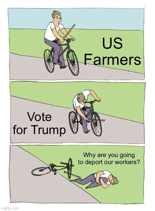 Why Would You Do This to Us?!